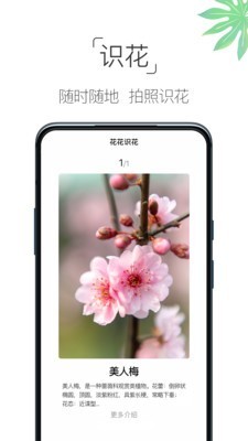 养花宝典截图2