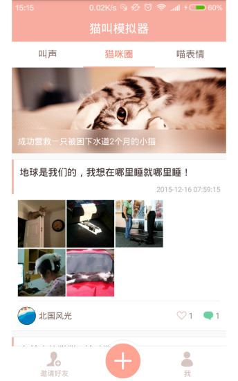 猫叫模拟器截图4