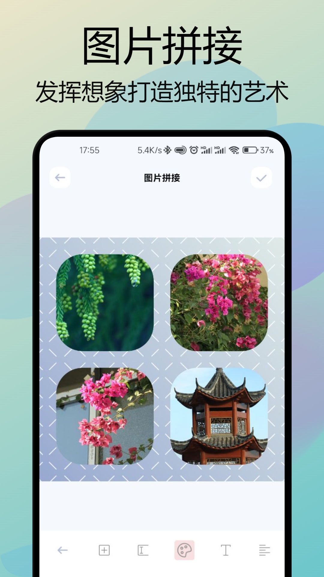 双鱼视频截图1