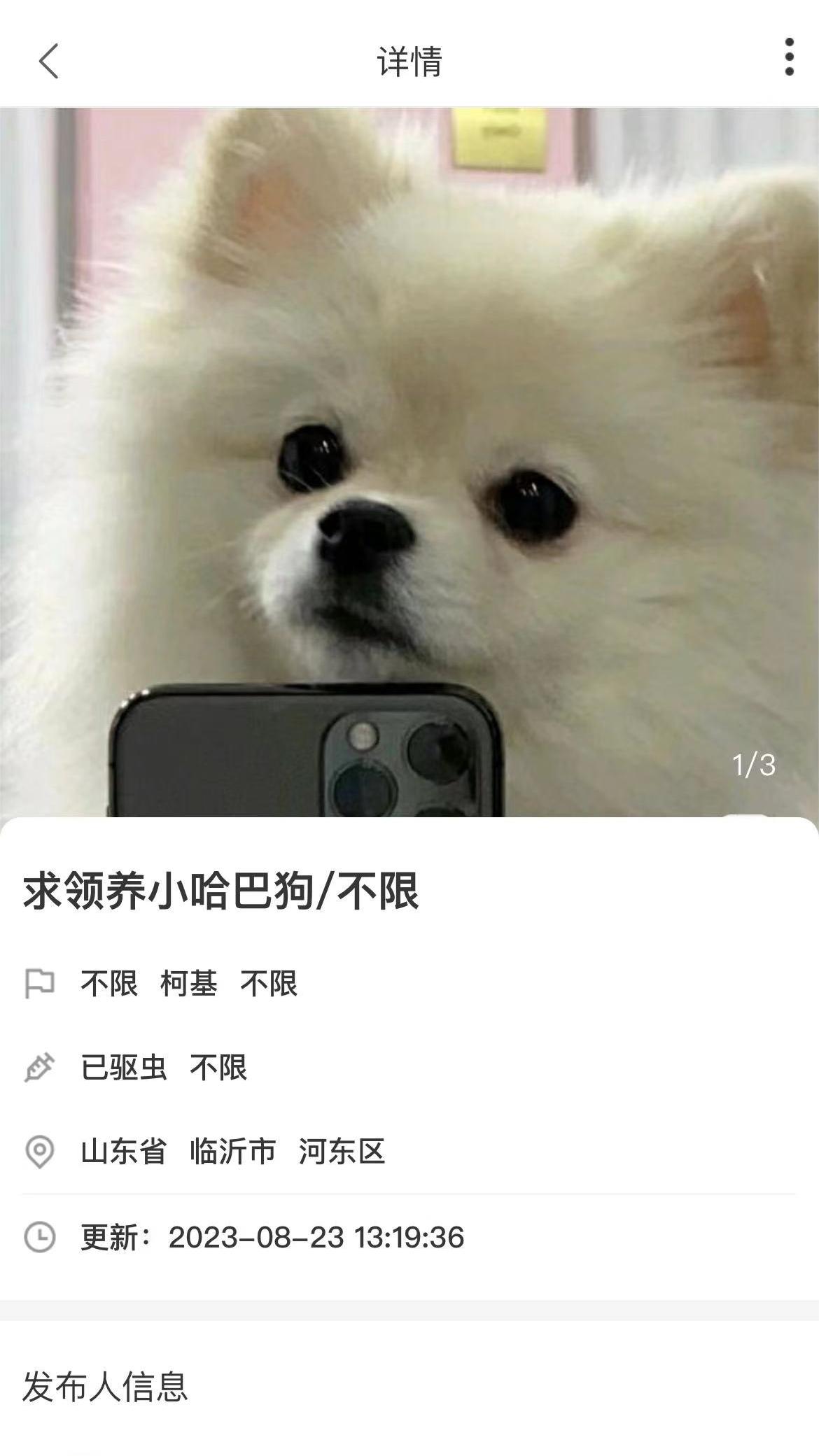 养宠无忧截图3
