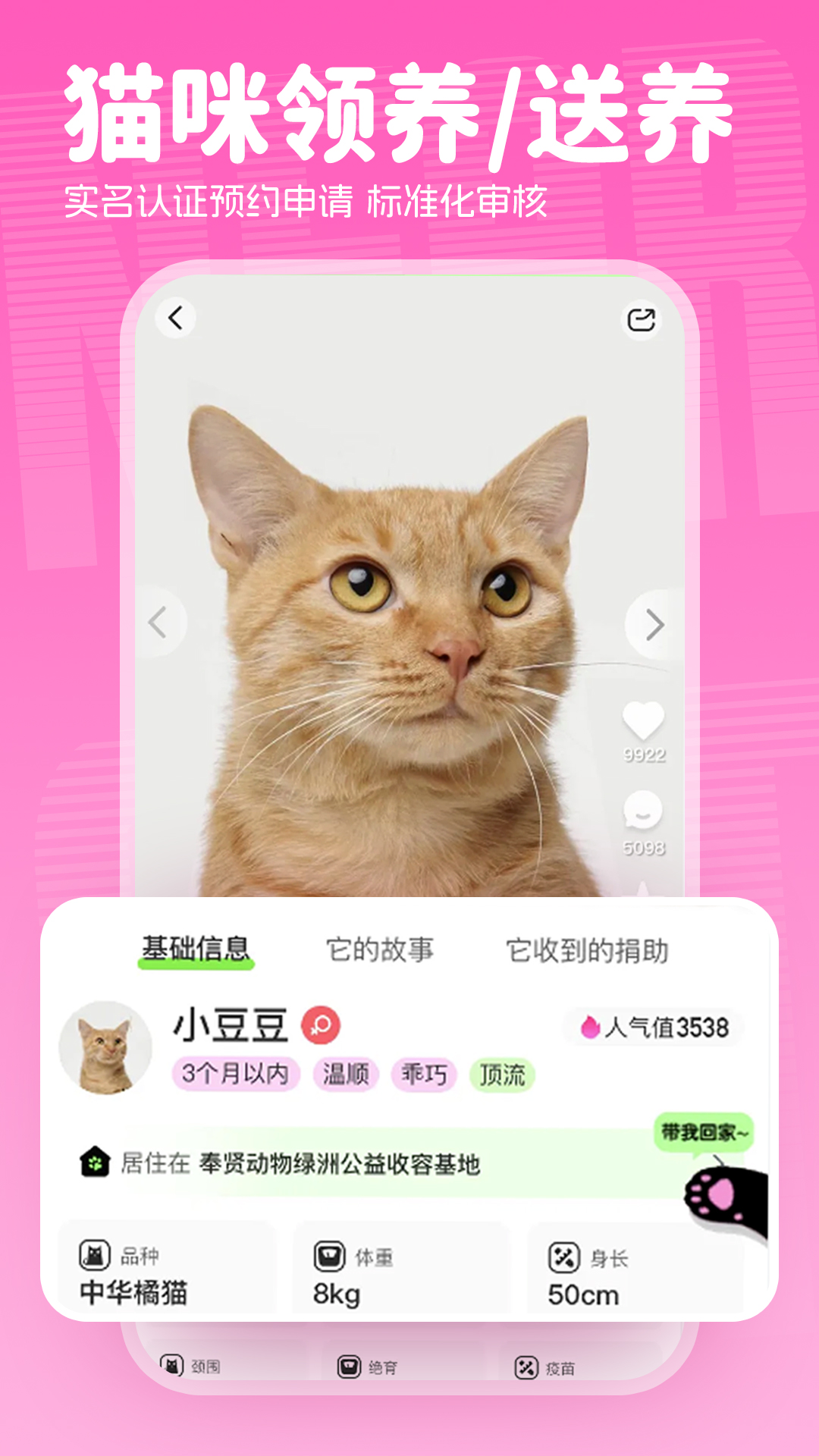附近有喵截图5