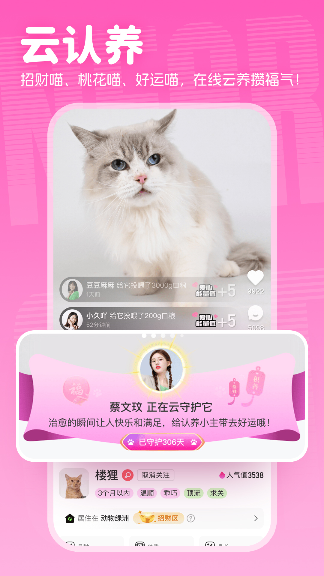 附近有喵截图1