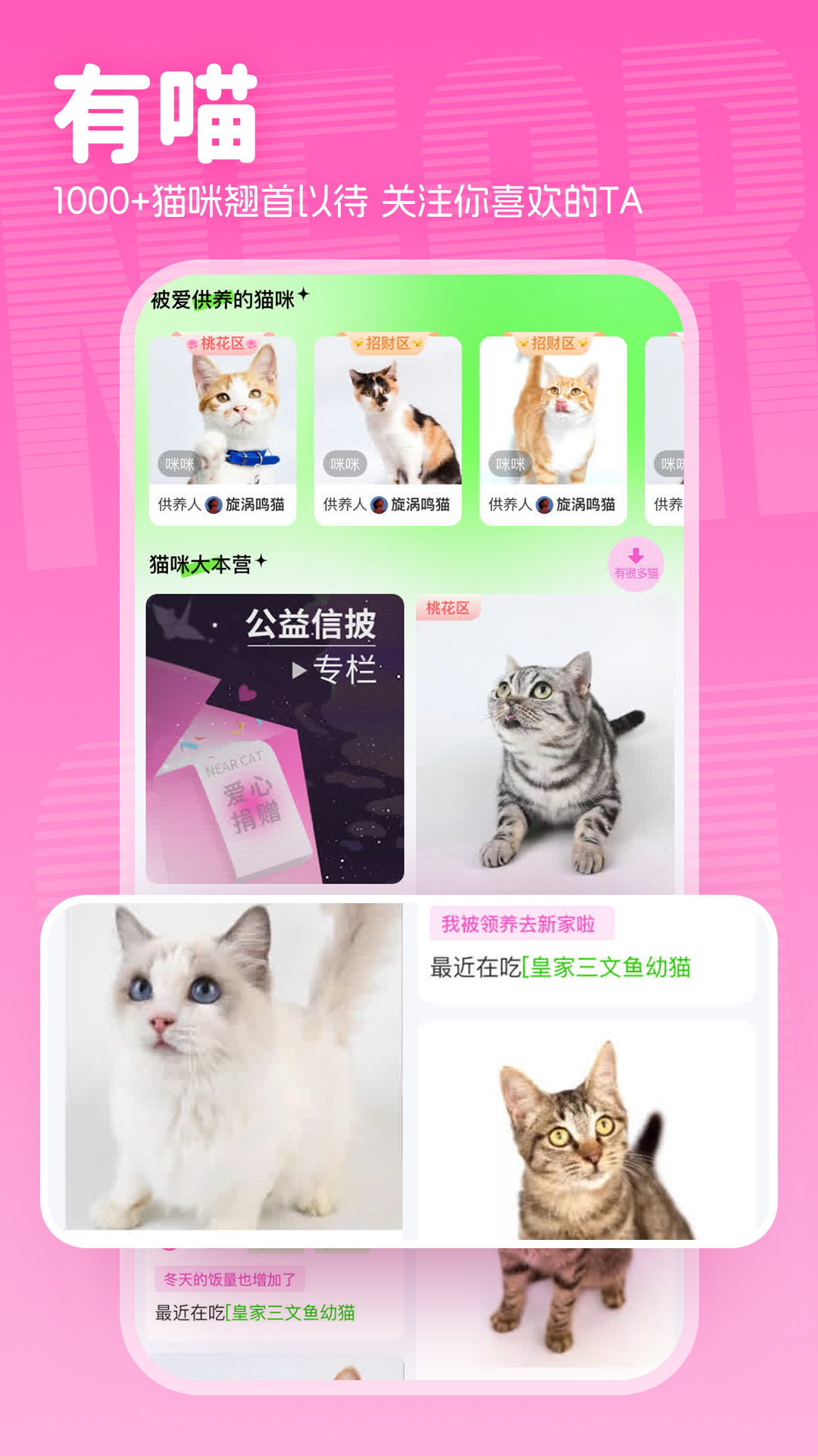 附近有喵截图3