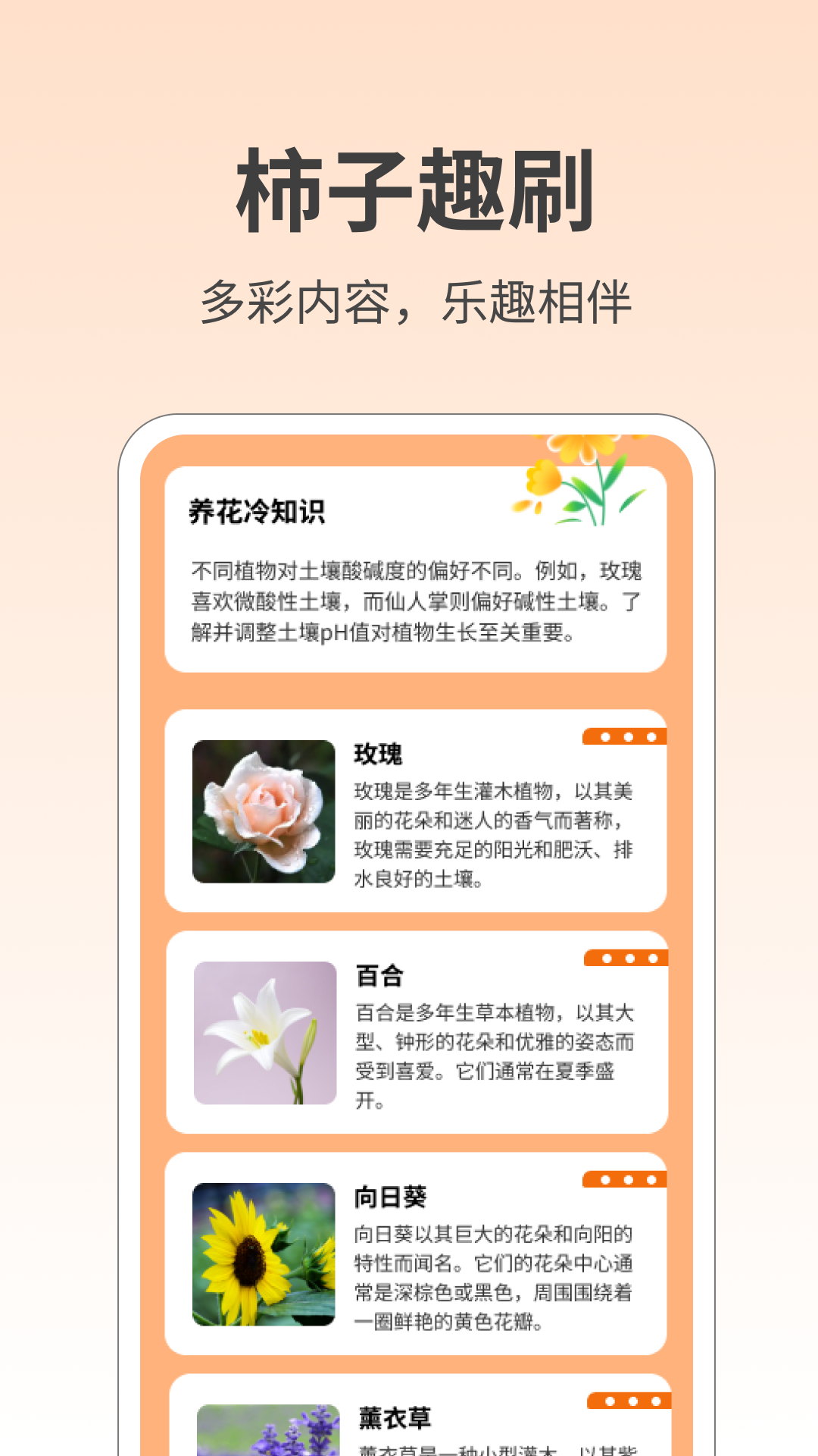 柿子趣刷截图1