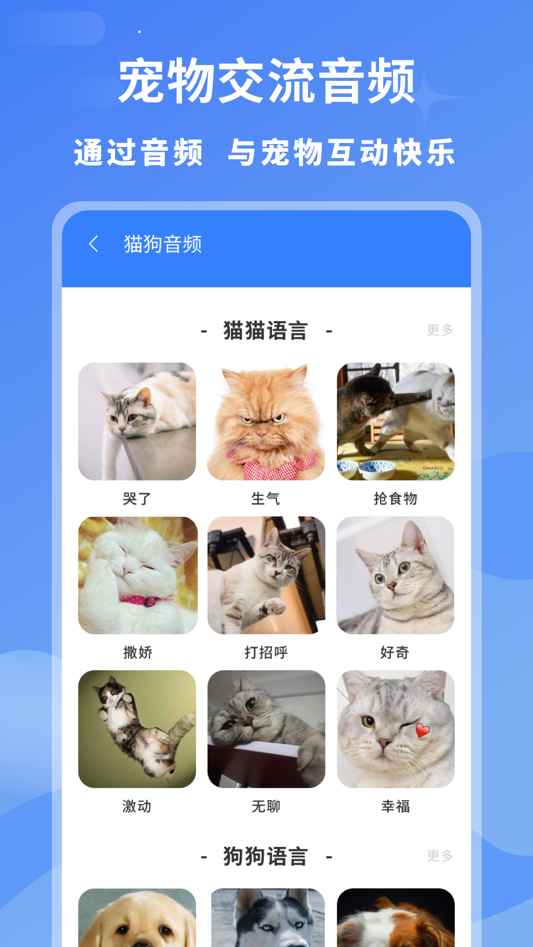 小白交流翻译截图2