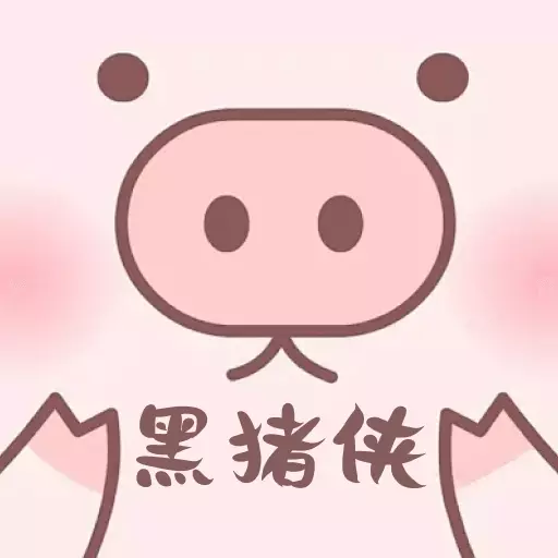 黑猪侠