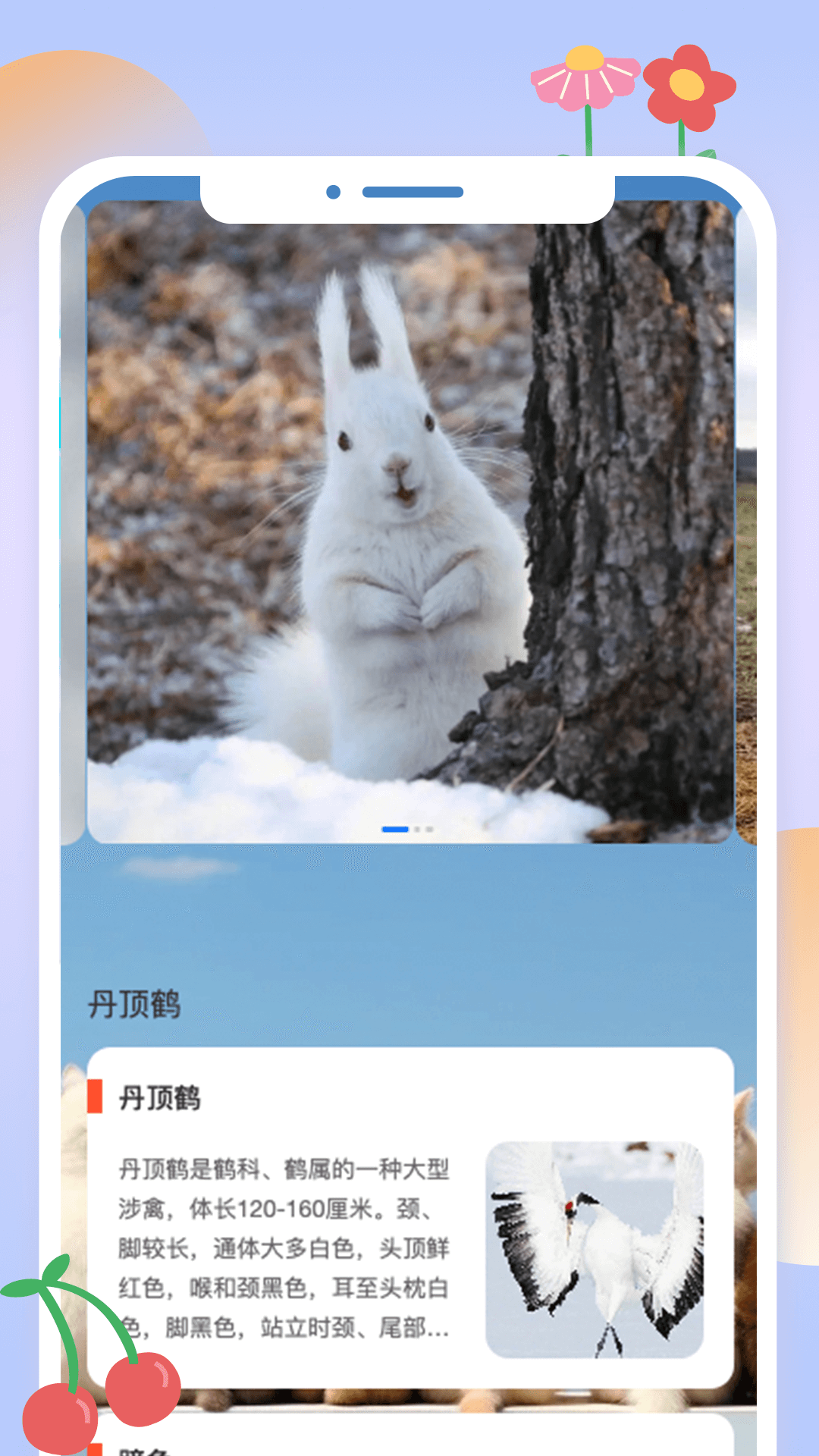 动物刷刷截图1