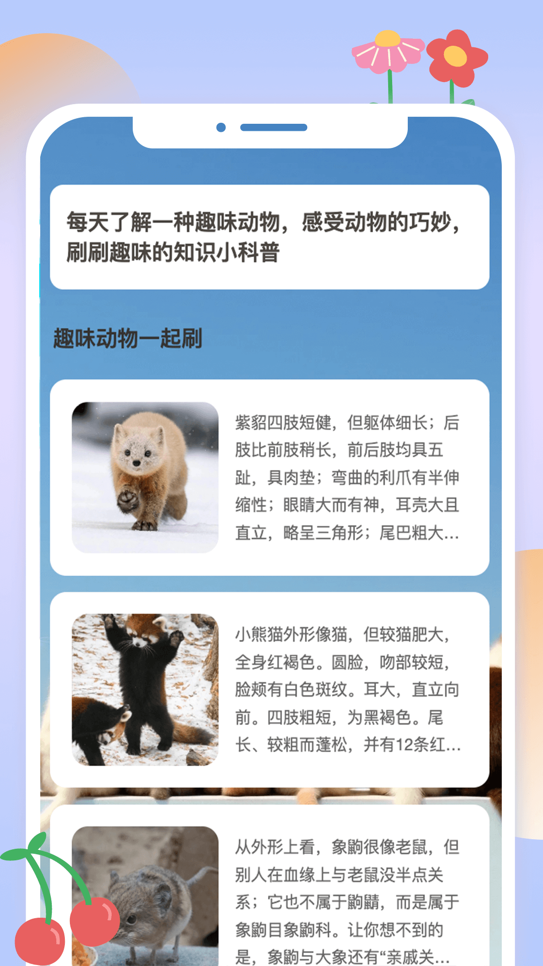 动物刷刷截图3