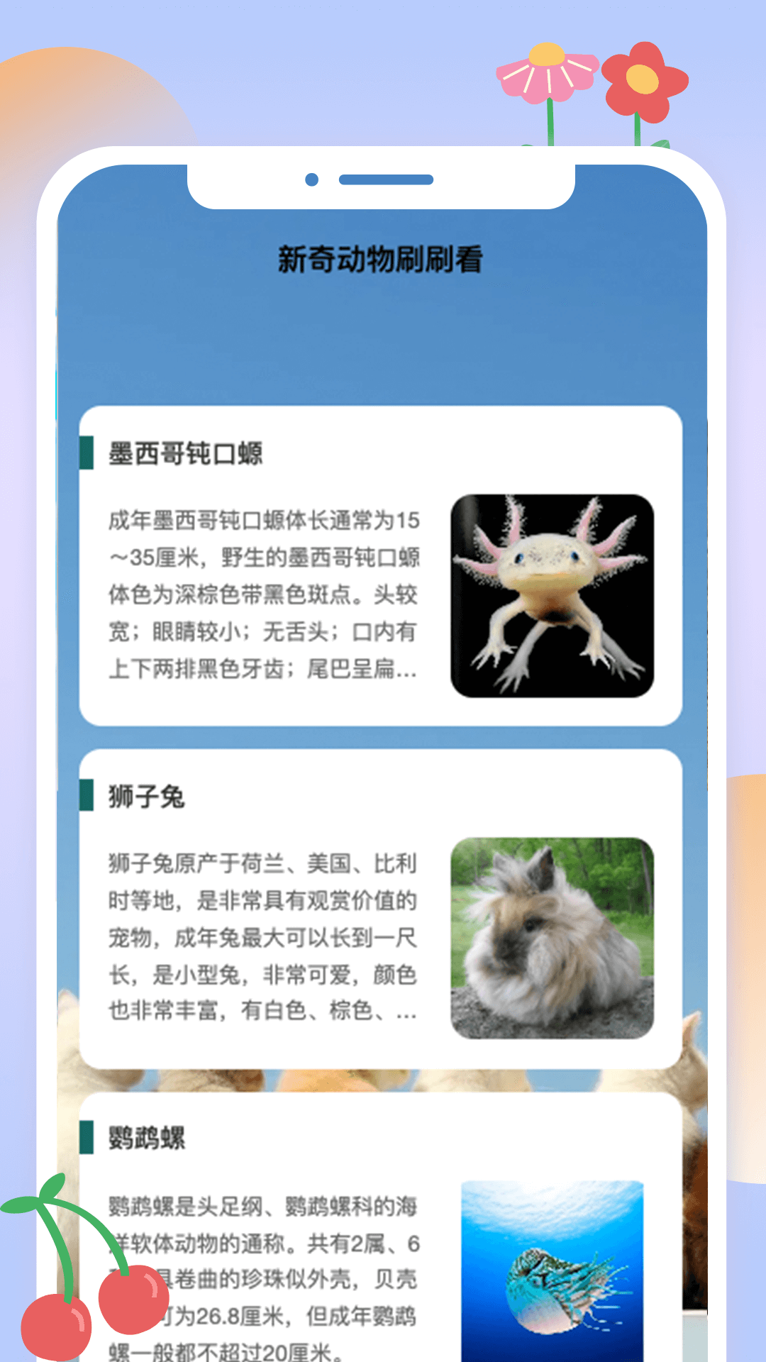 动物刷刷截图2