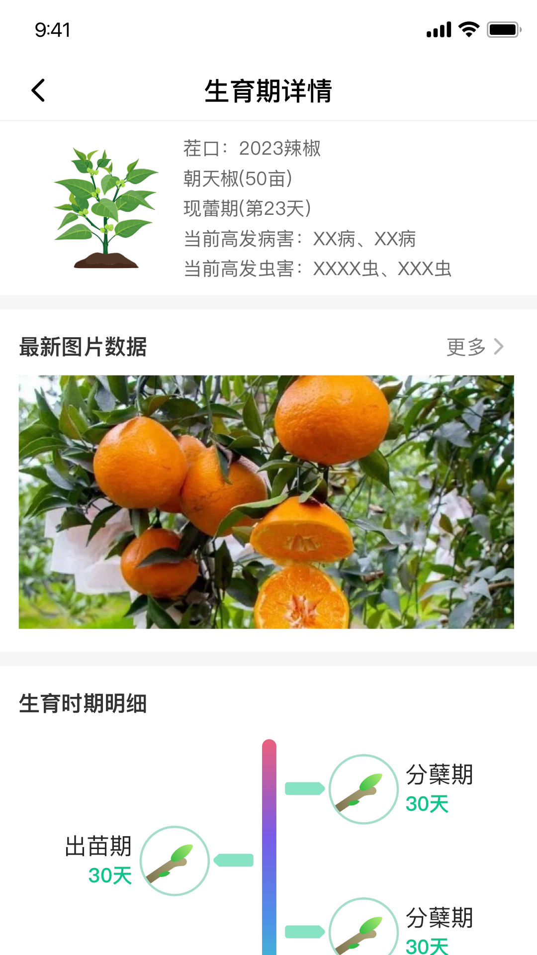 ai农截图5