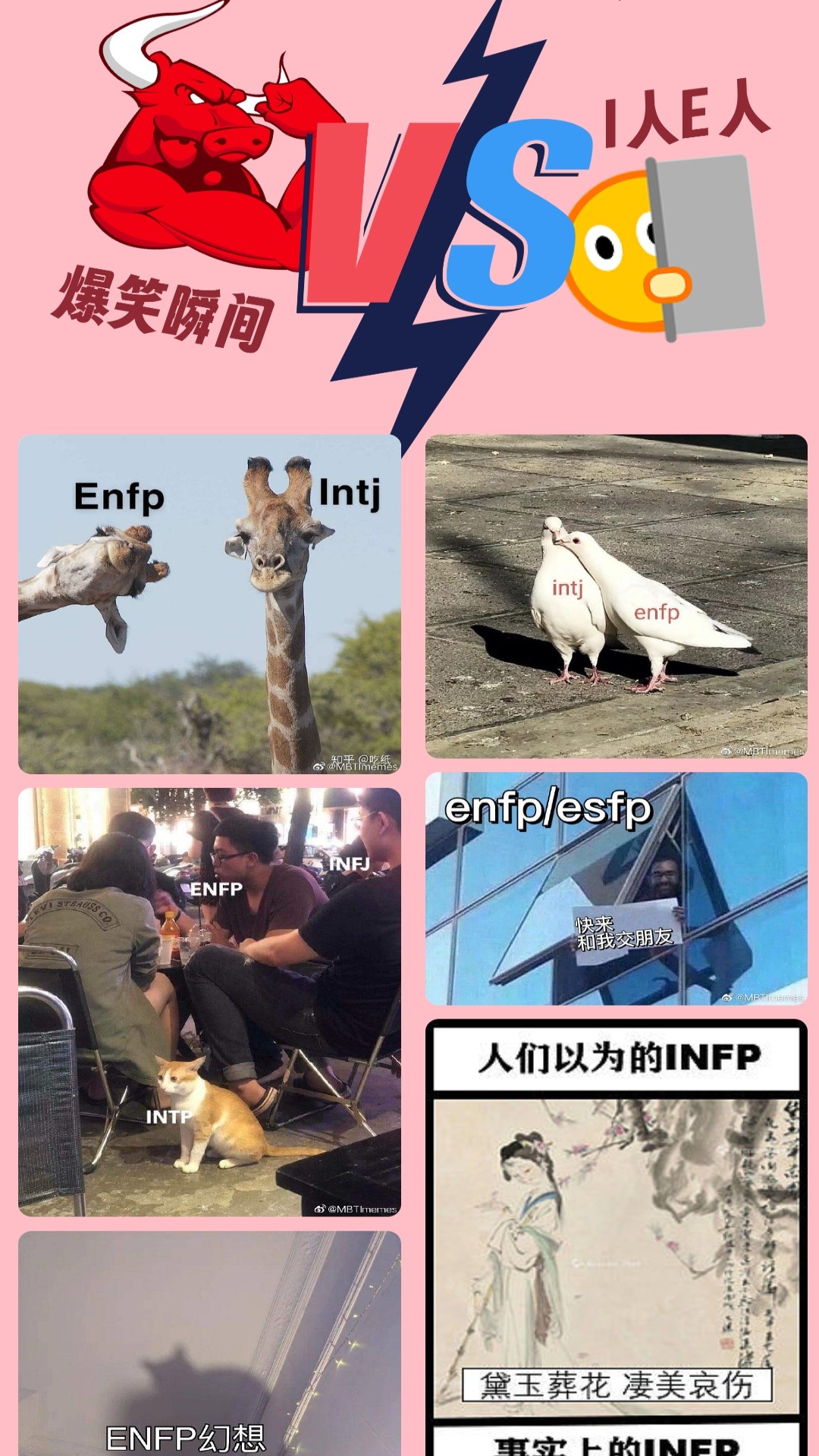 活力行者
