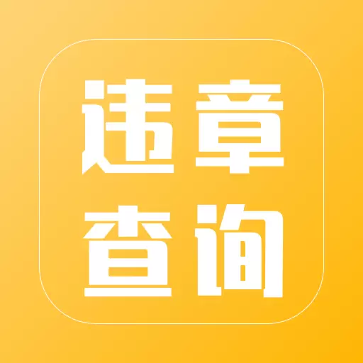 违章查询