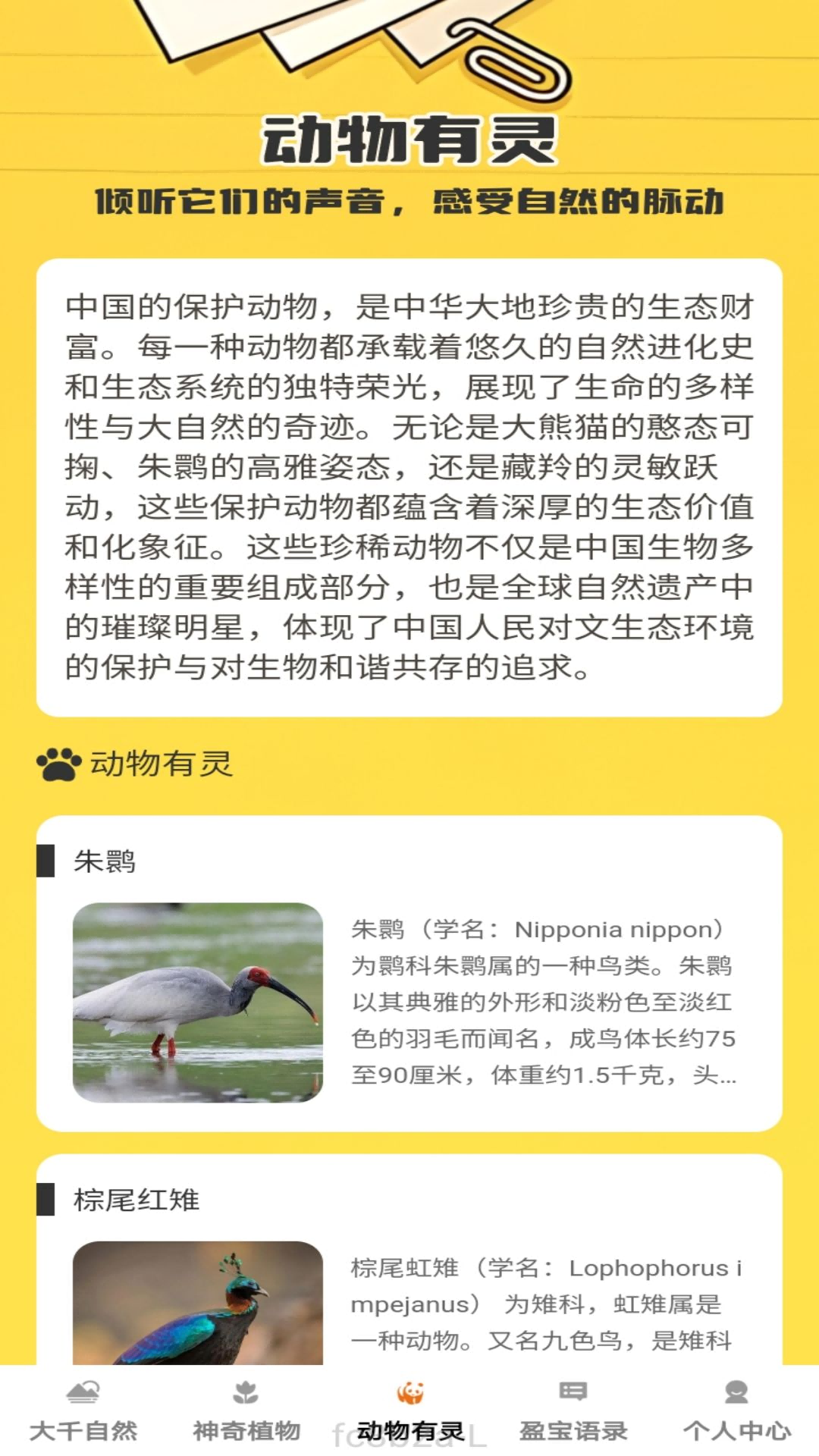 盈宝多多截图3