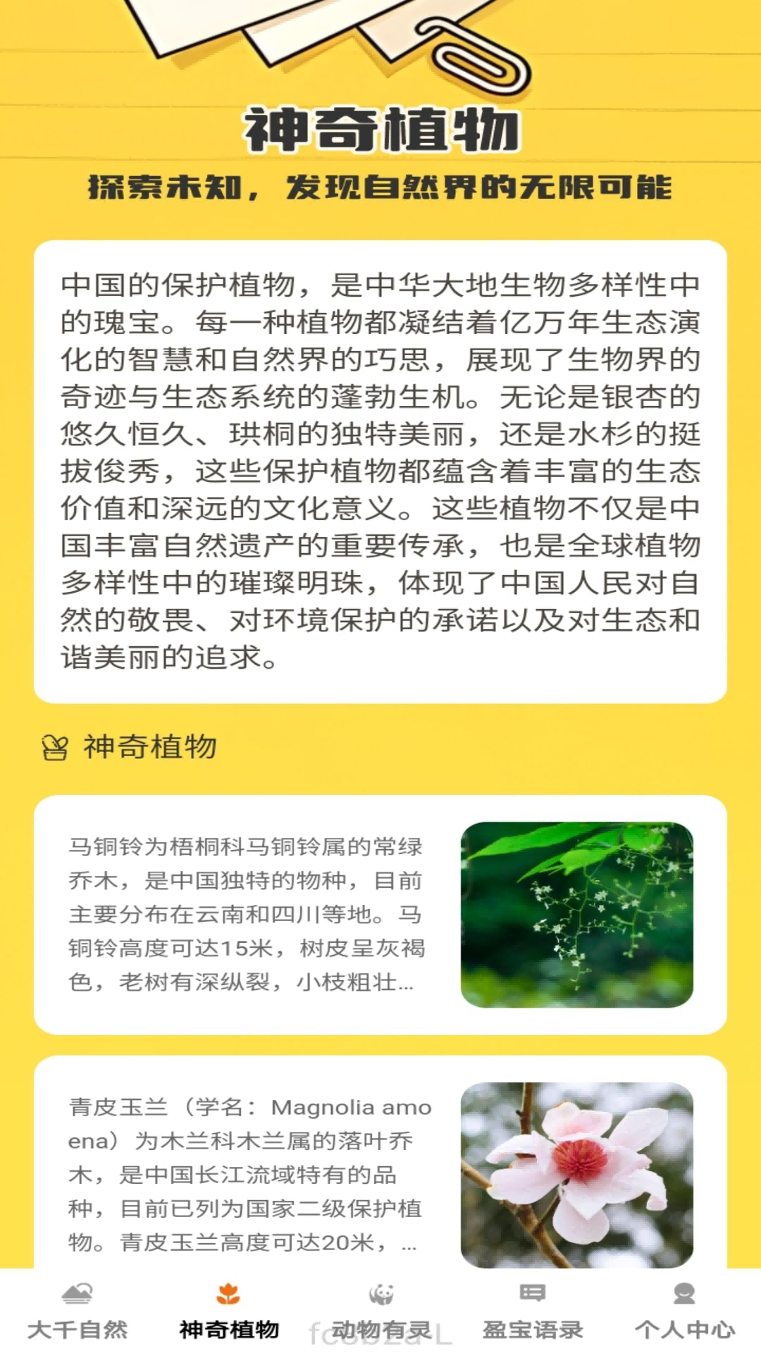 盈宝多多截图2