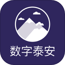数字泰安