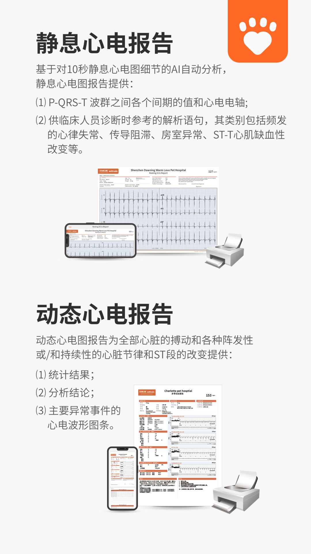星爱宠截图4