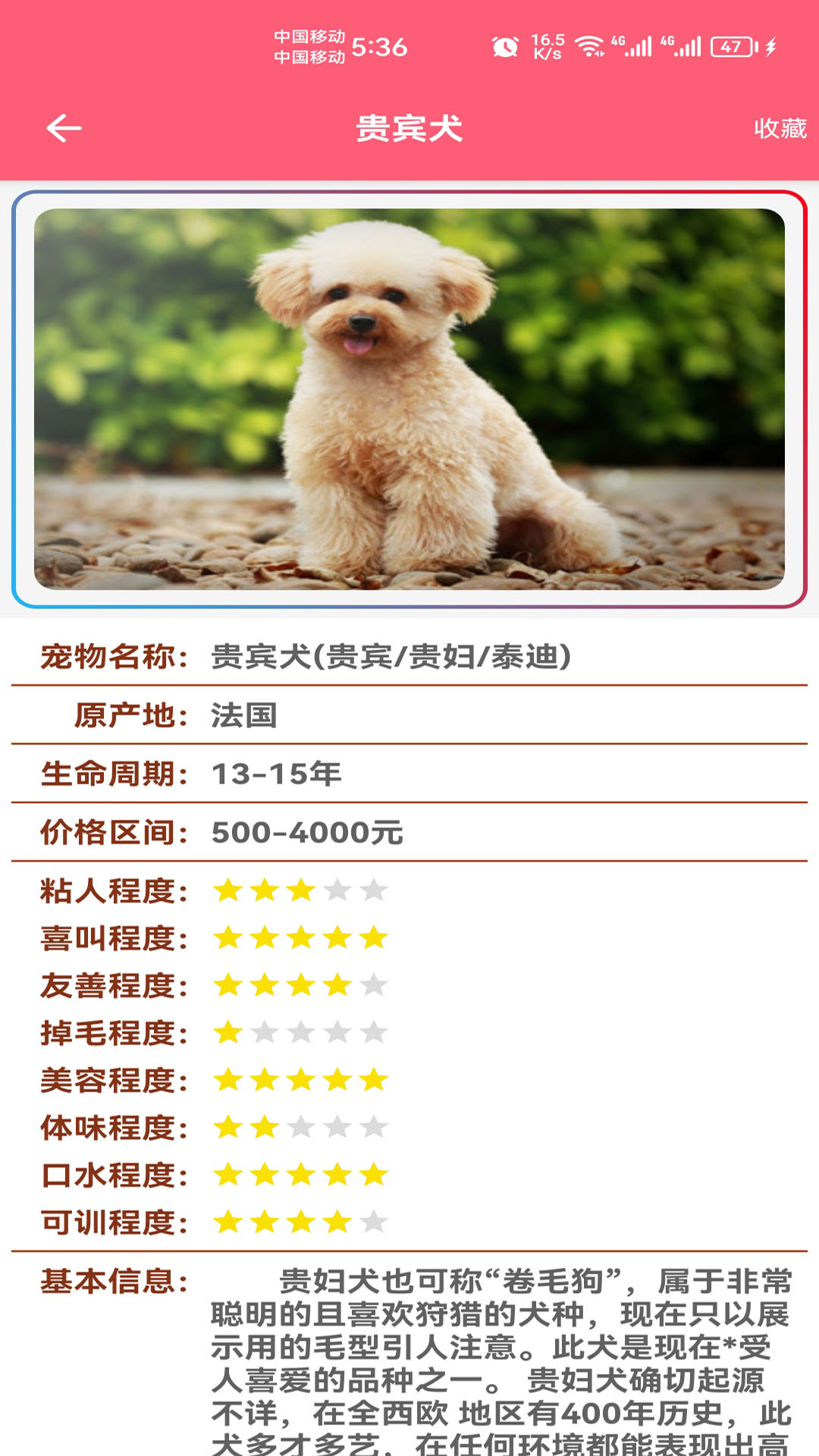 宠物宝宝大全截图3