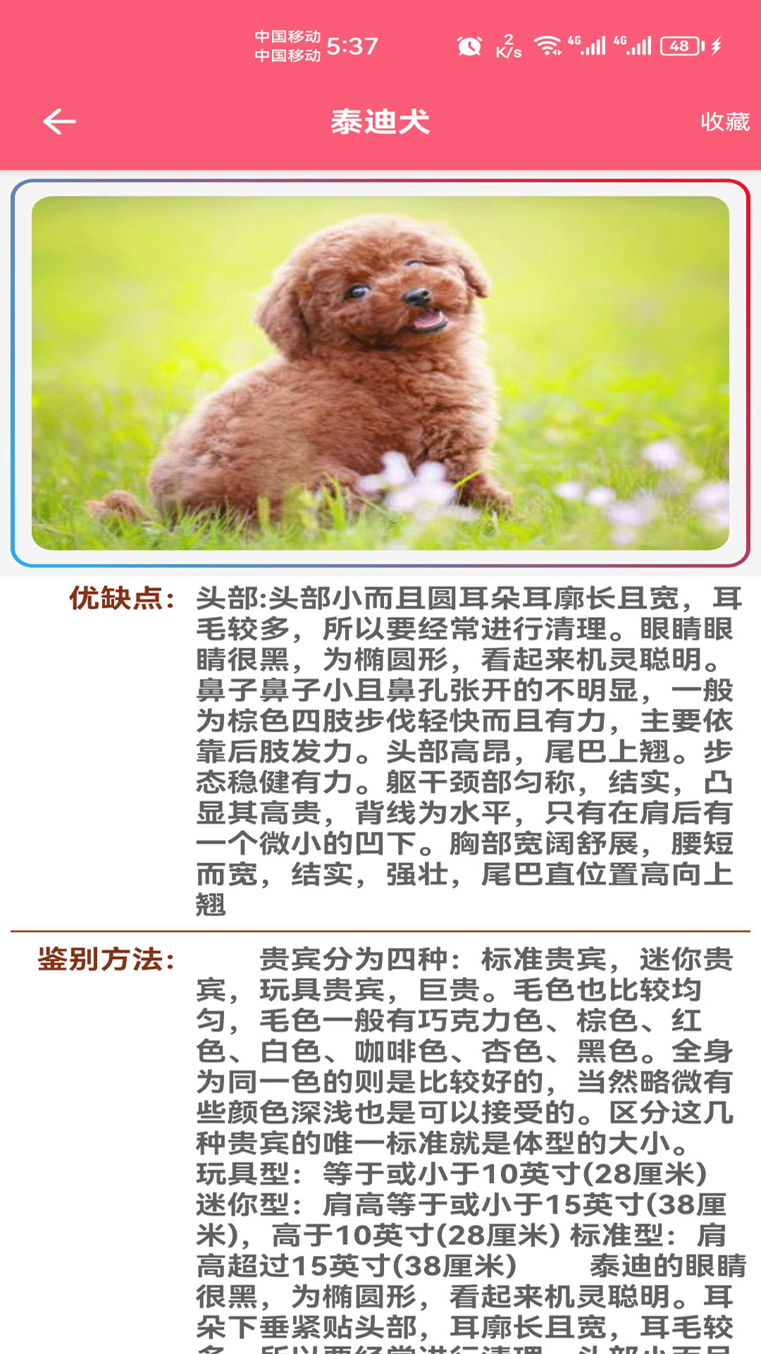 宠物宝宝大全截图4