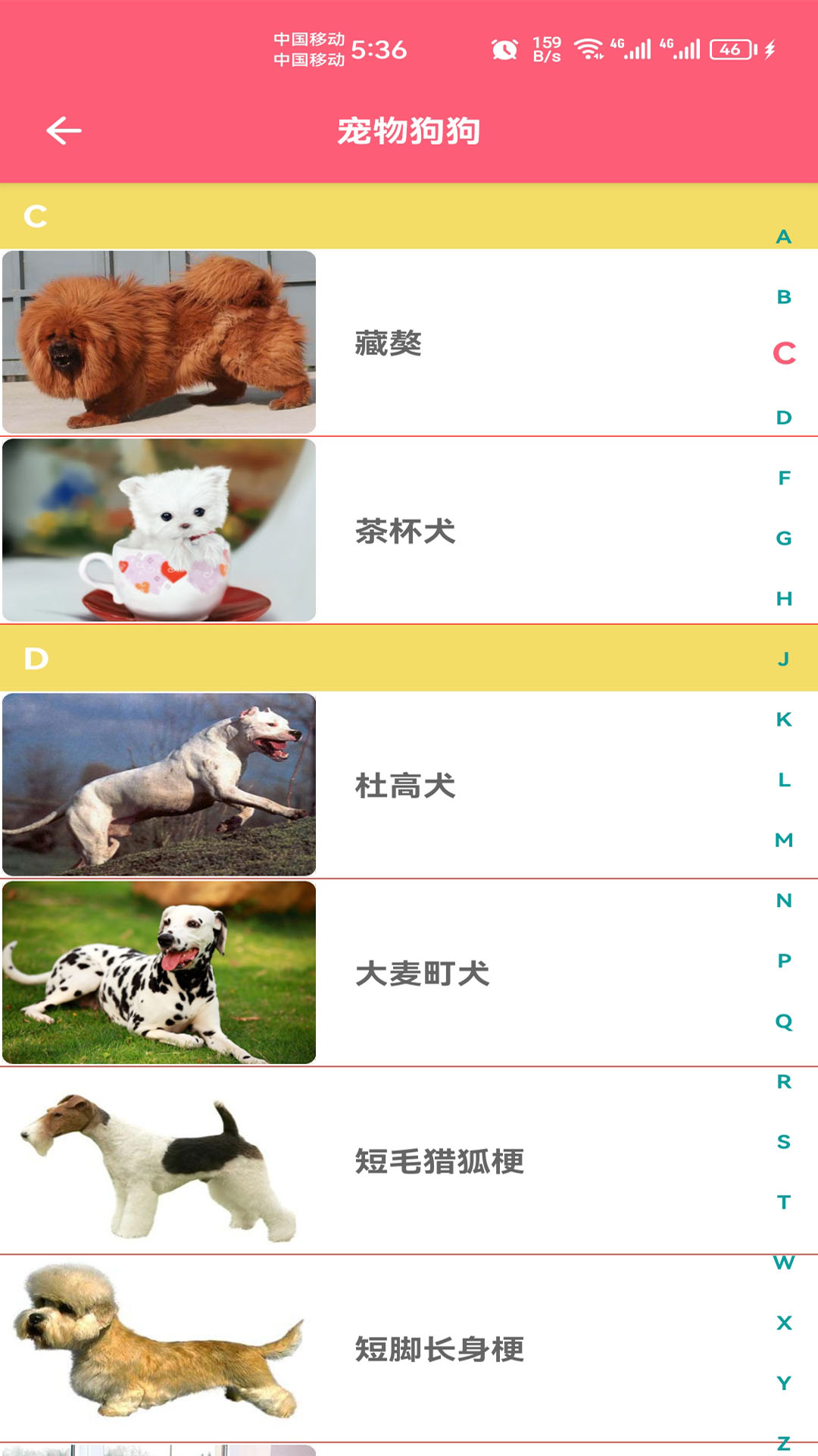 宠物宝宝大全截图2