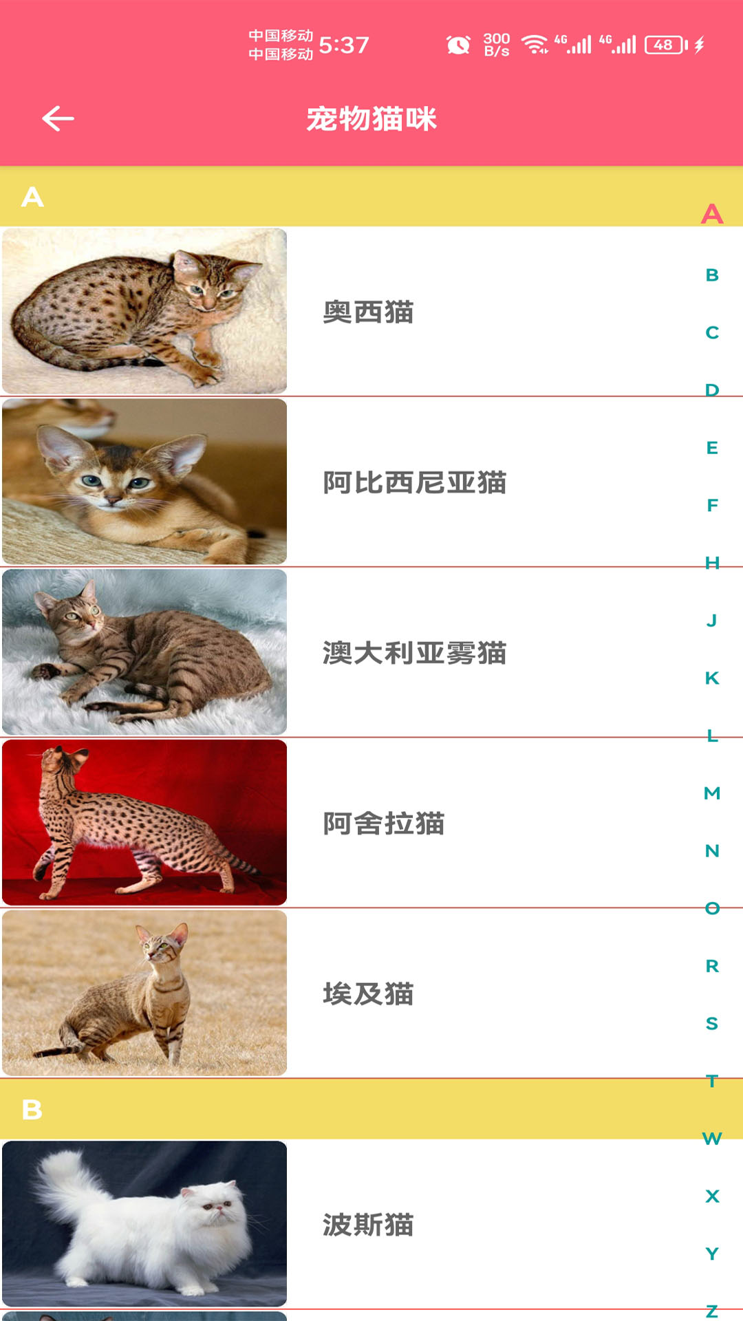 宠物宝宝大全截图5