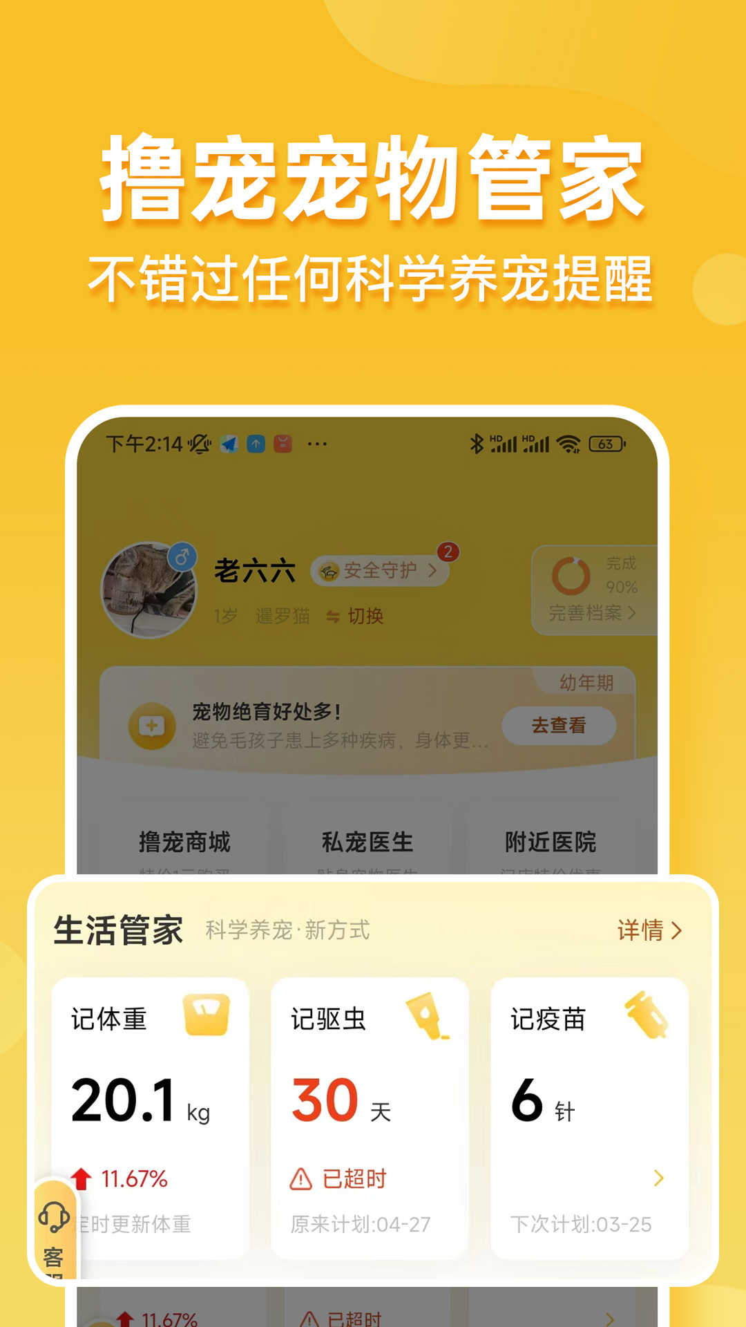撸宠
