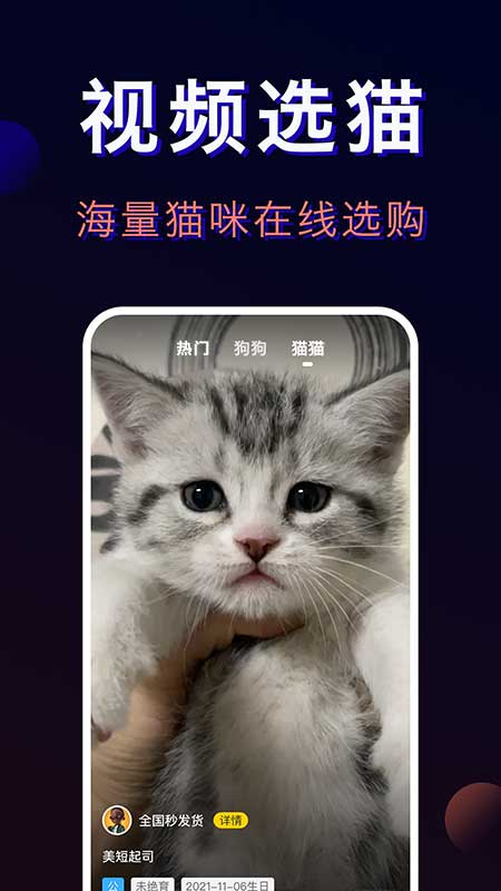 宠物宝截图1
