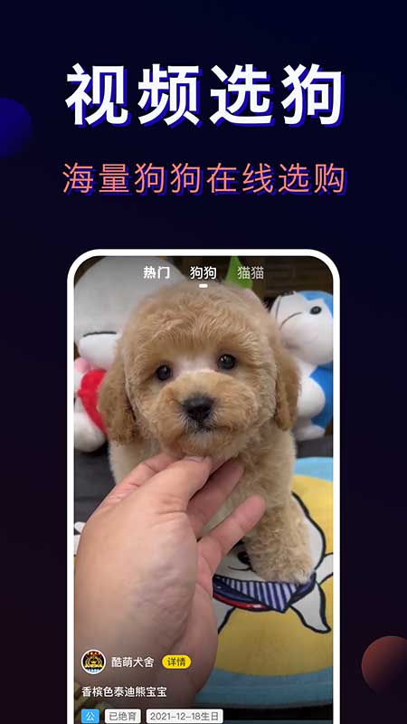 宠物宝截图2