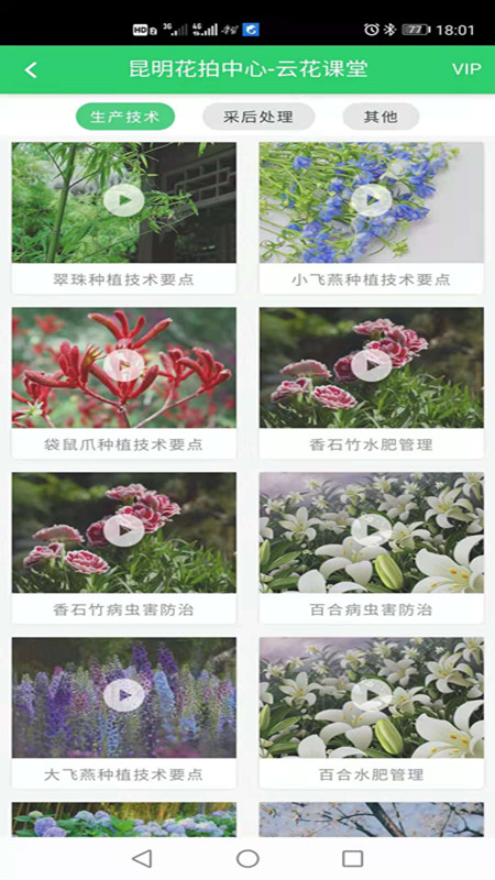 花拍服务供截图3