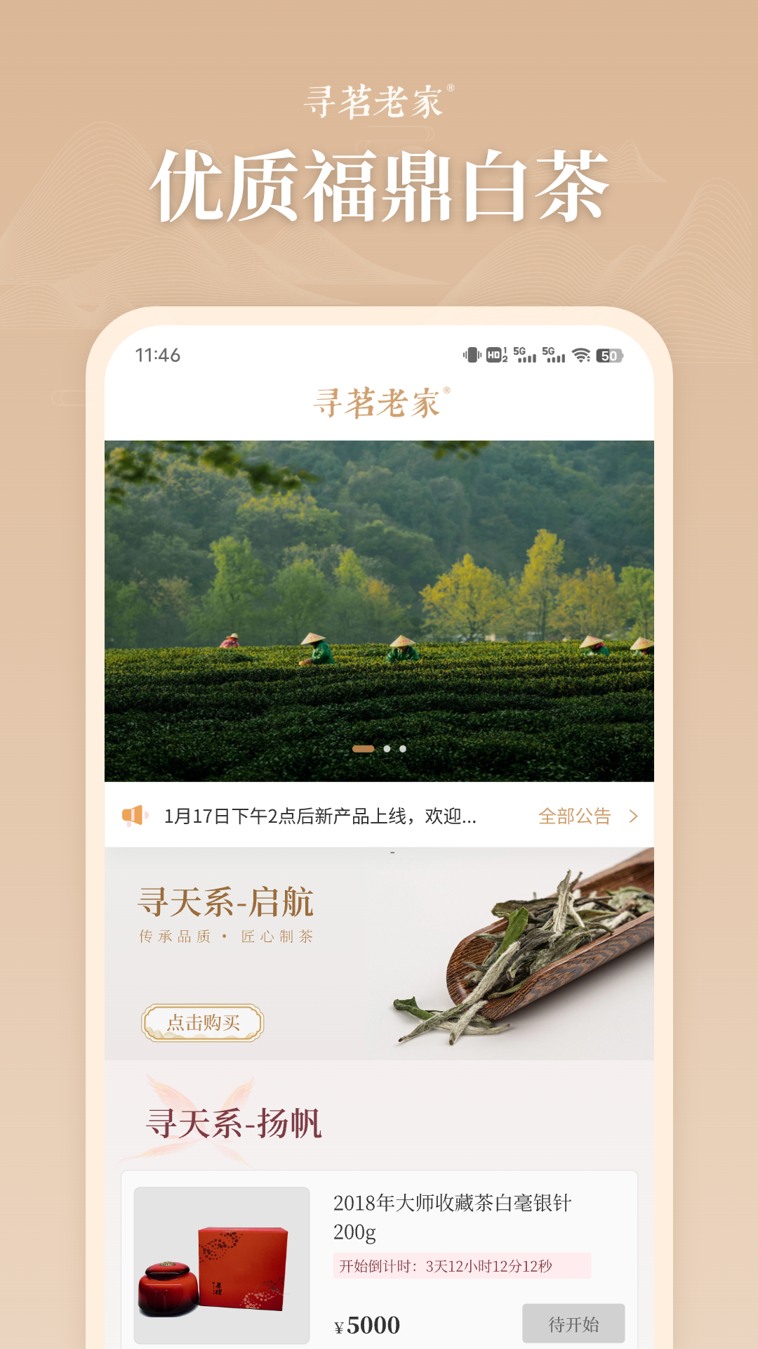 寻茗老家截图1
