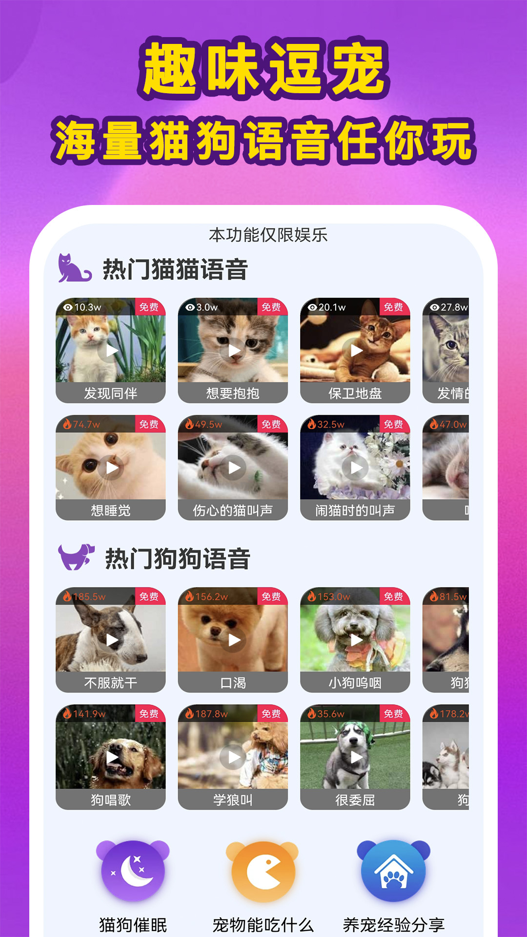 啵啵猫狗语音