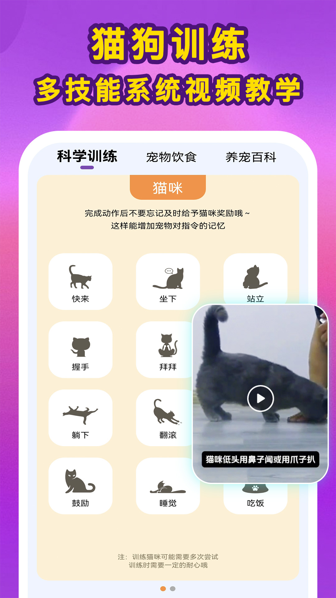 啵啵猫狗语音