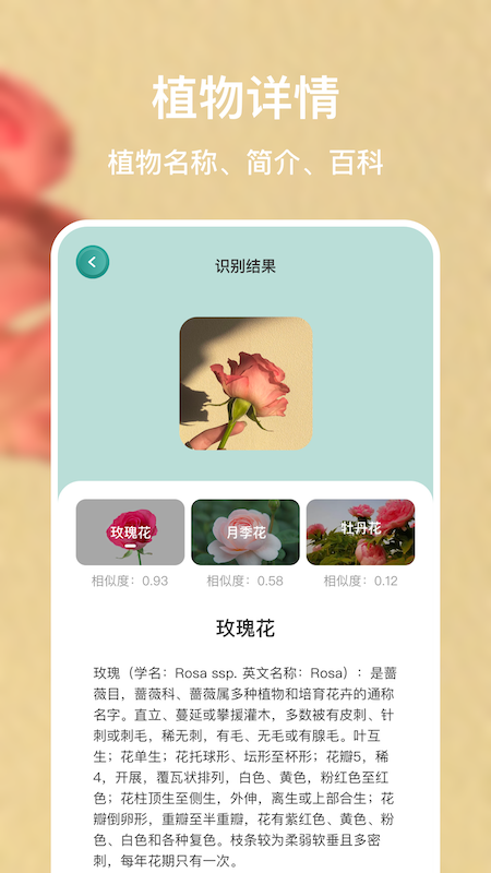 识别花截图3