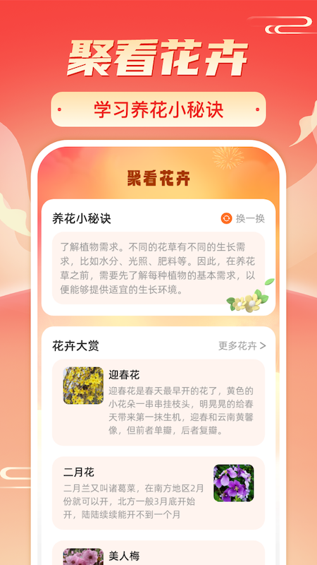 暖阳刷刷