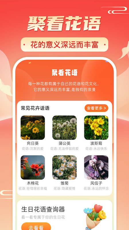 暖阳刷刷
