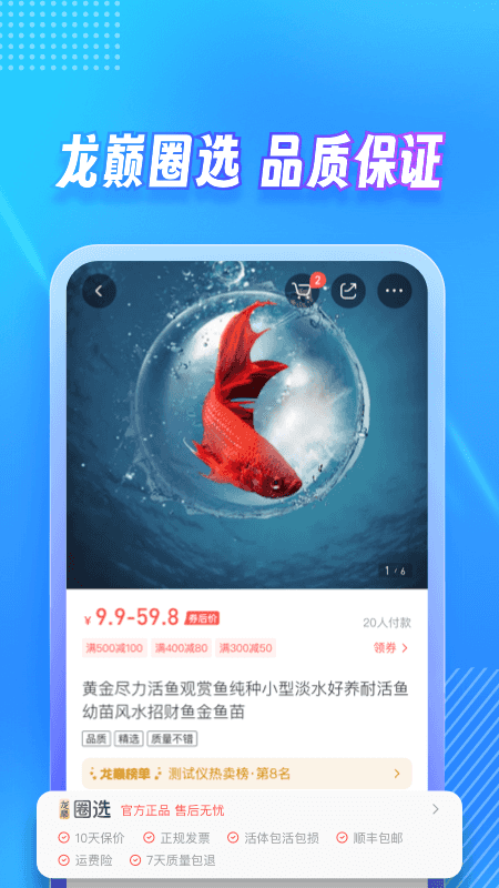 龙巅截图5