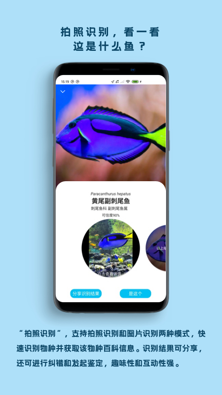 看鱼截图2