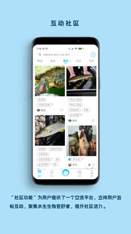看鱼截图4