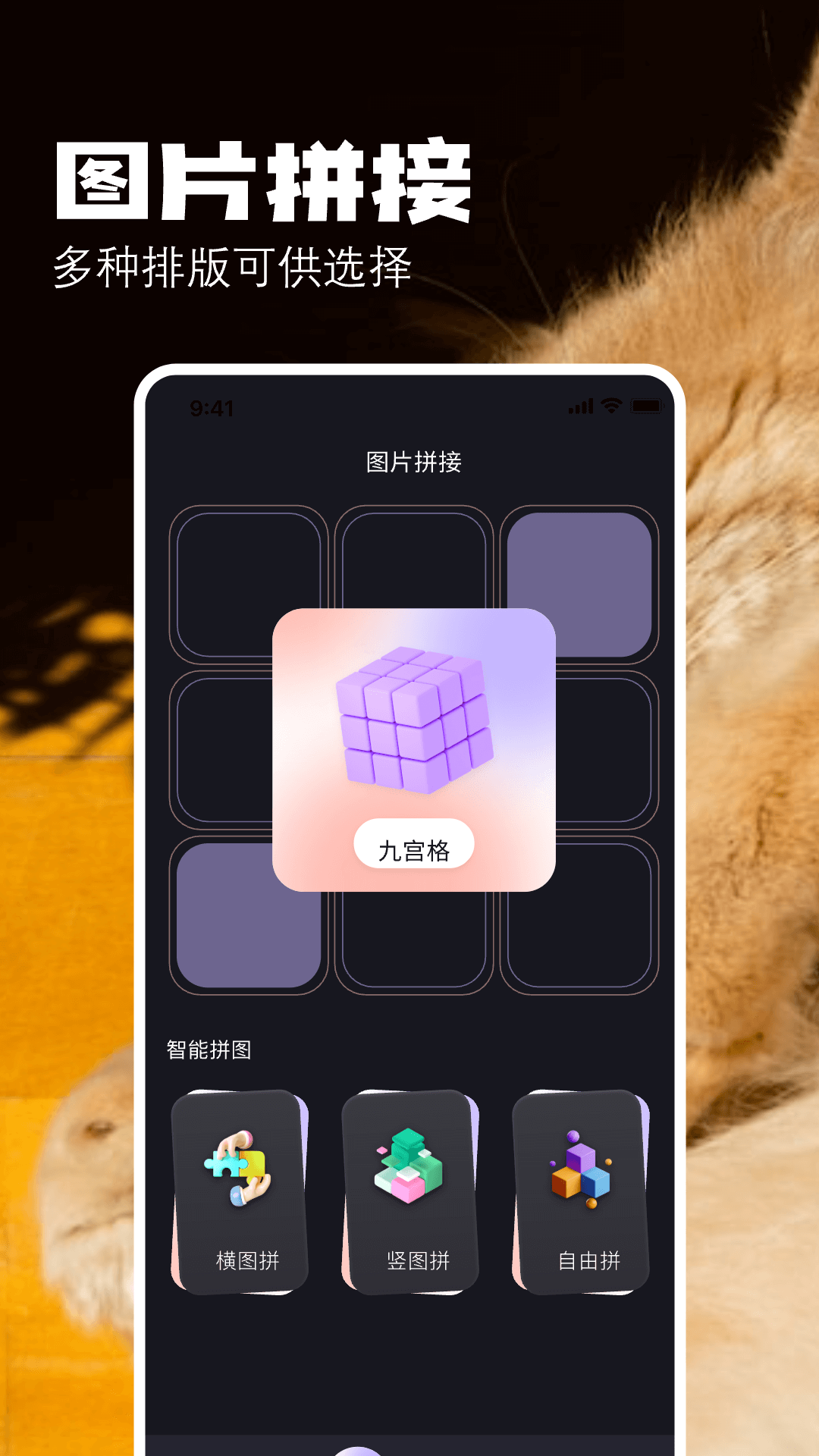 布偶相机截图4