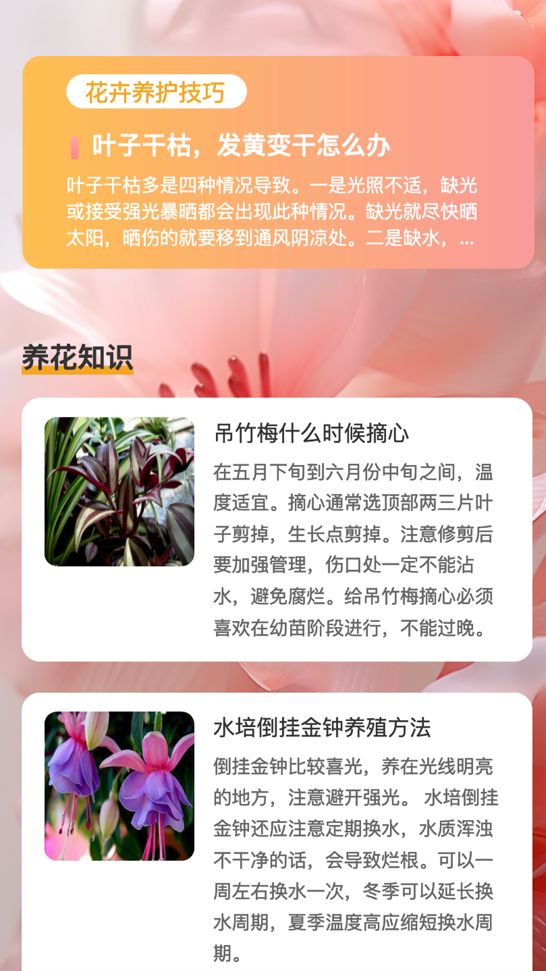 花蕊看看截图2