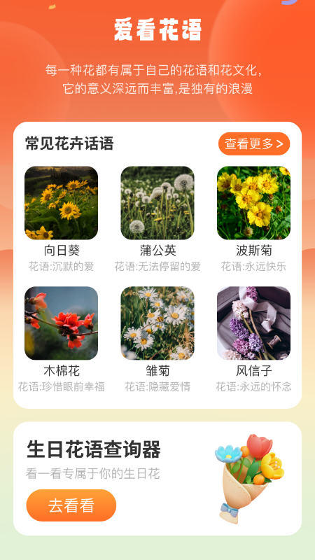 好运爱看