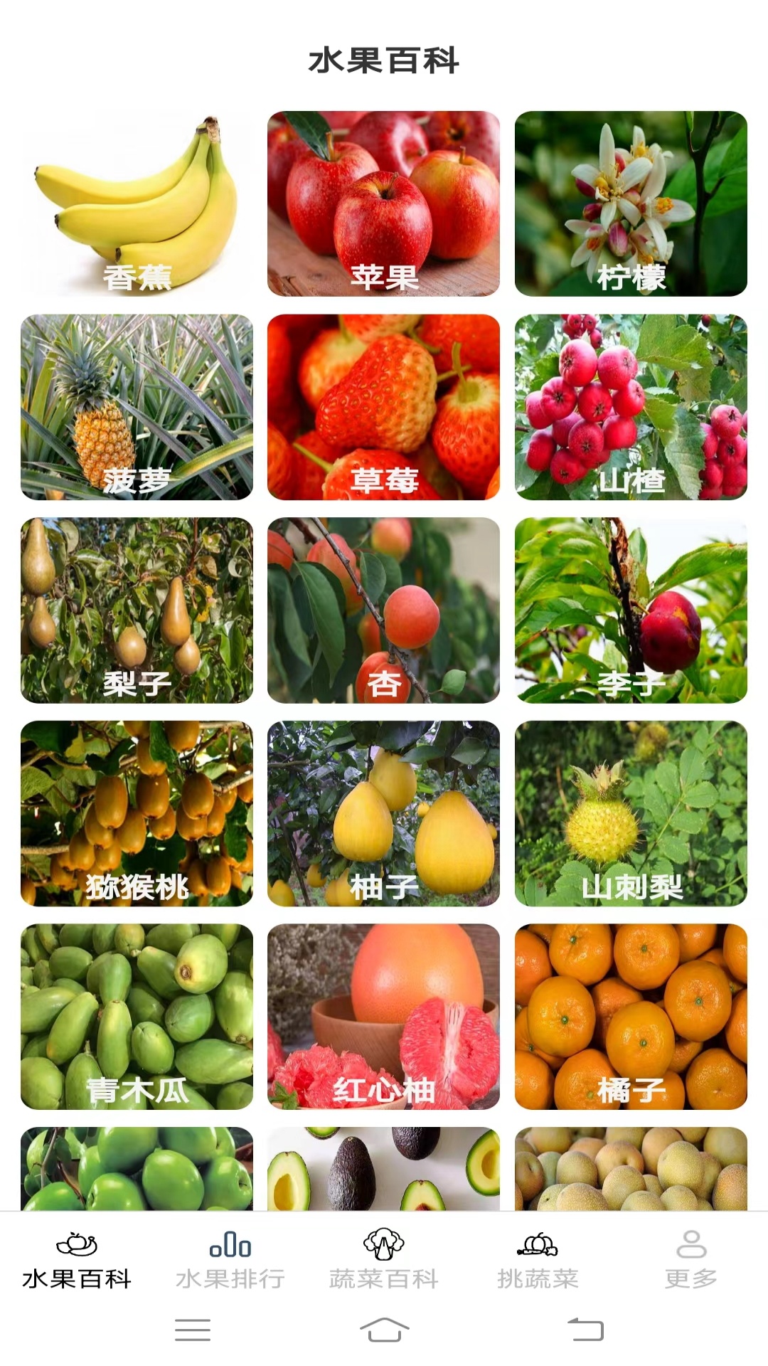 元气蔬果截图2