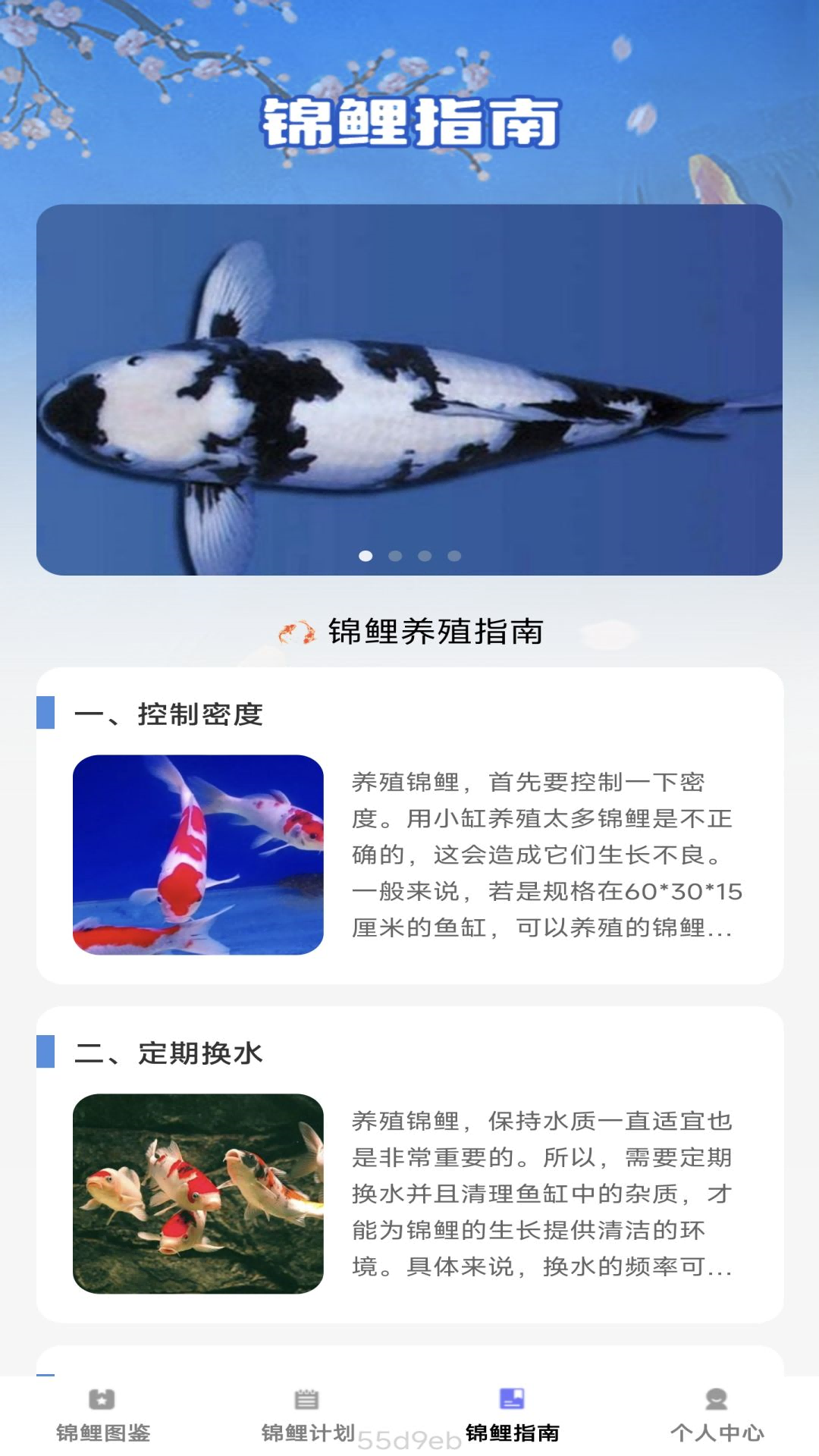 锦鲤趣看截图3
