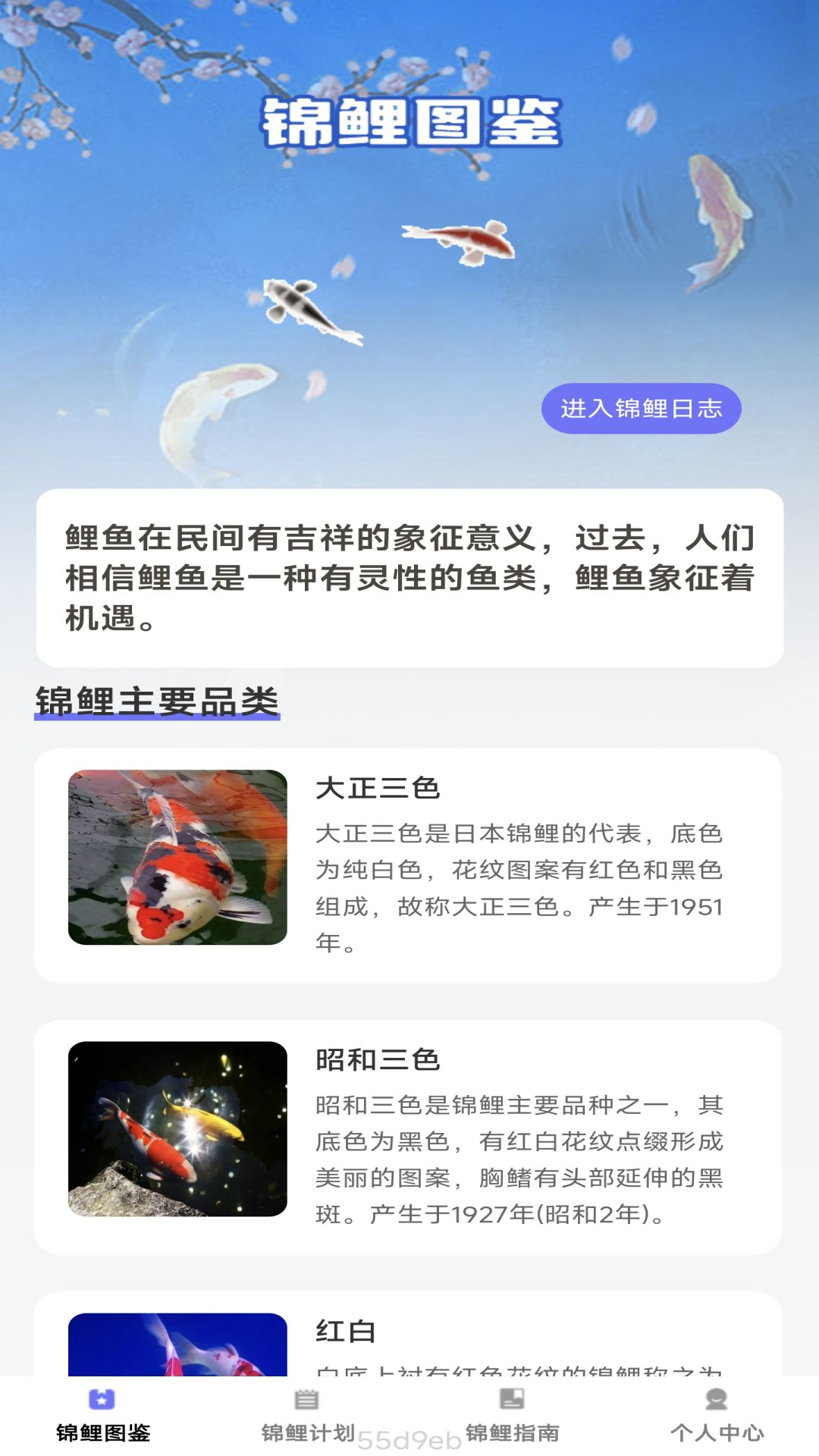锦鲤趣看截图1