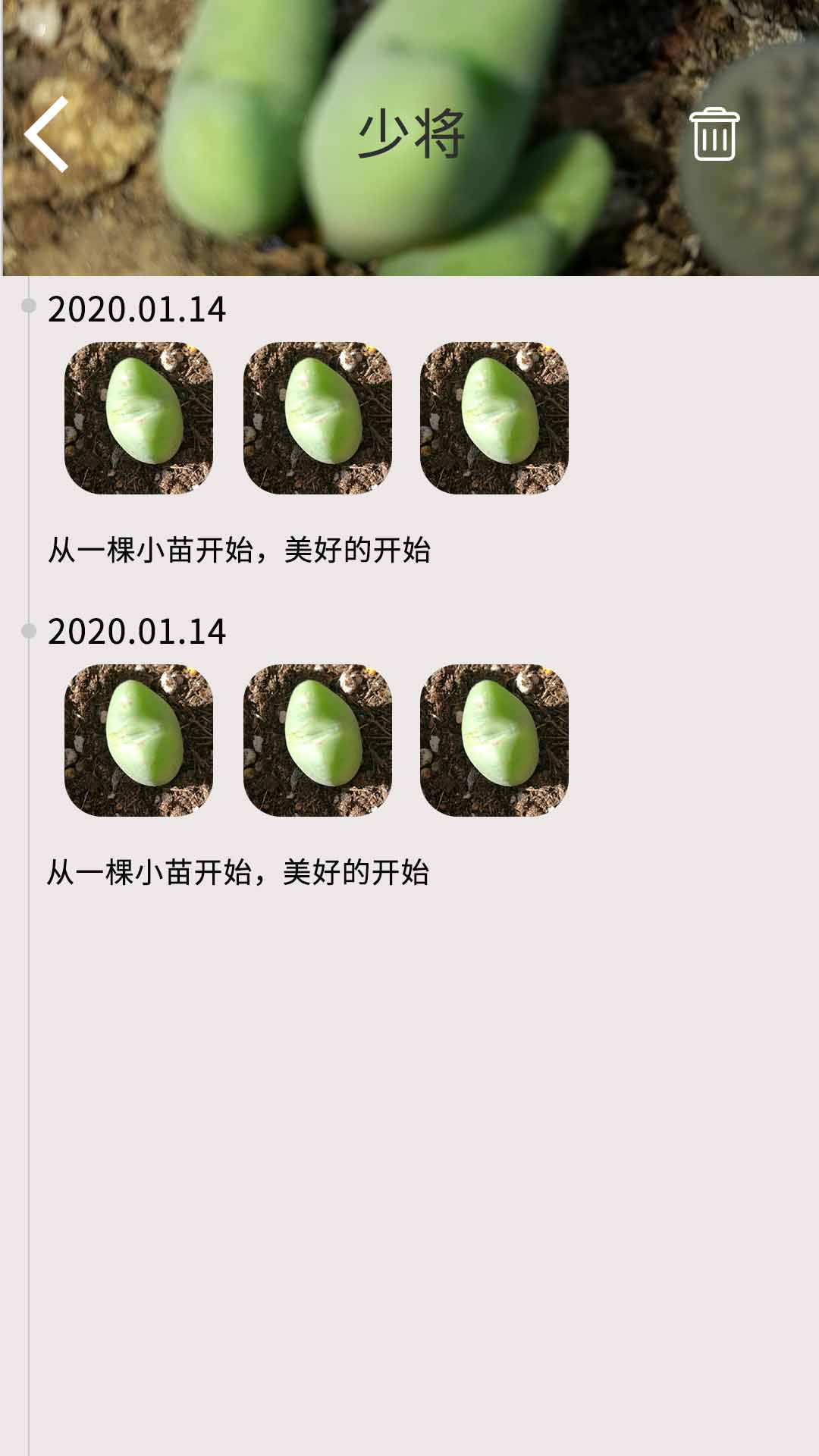 多肉花草日记截图5