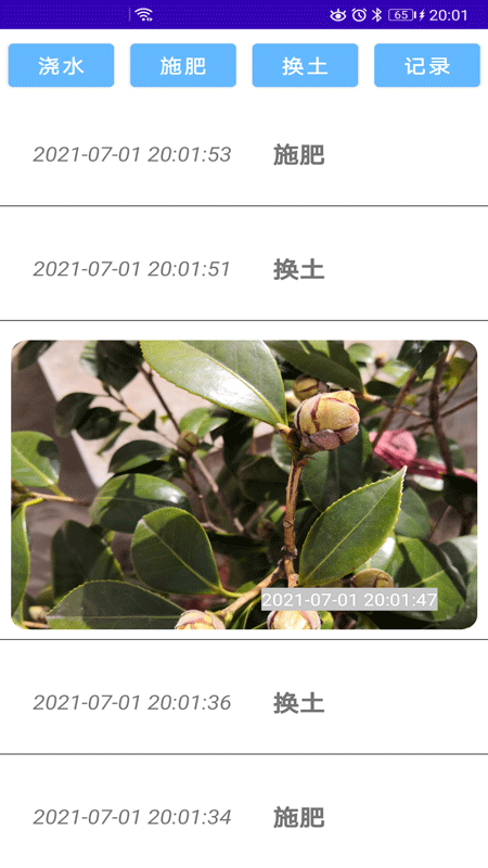 绿植花卉截图