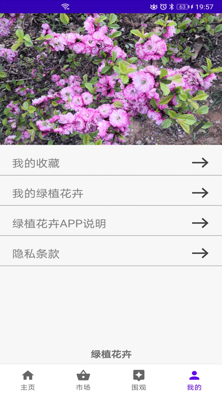绿植花卉截图