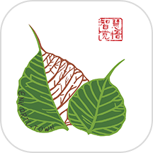 华膜商城