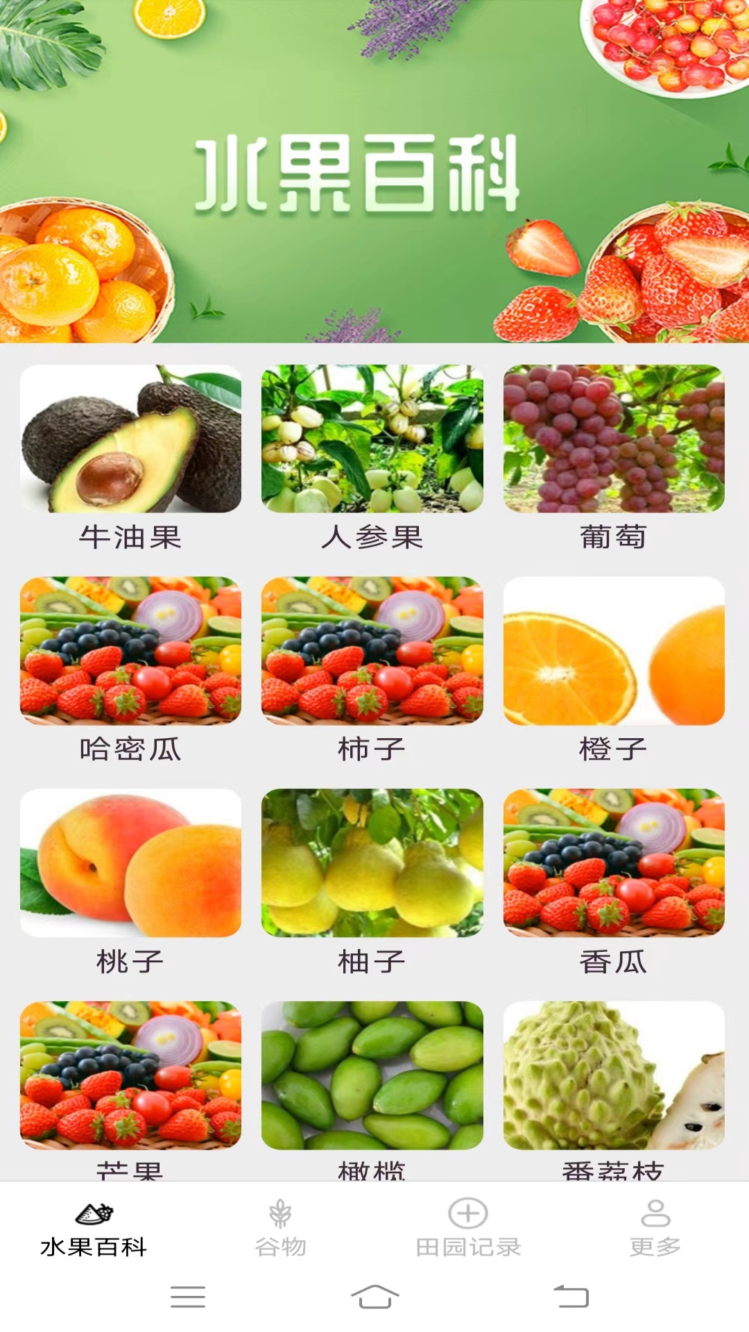 掌上果果多截图1