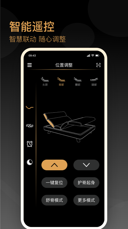金可儿ibed