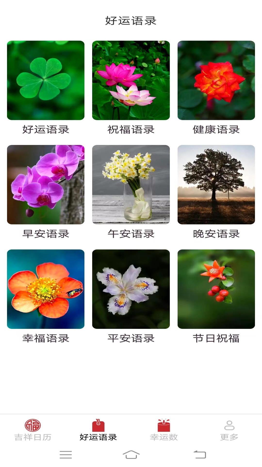 多宝有好运截图2